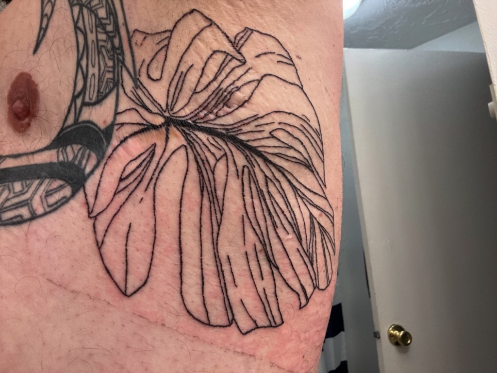 Leaf