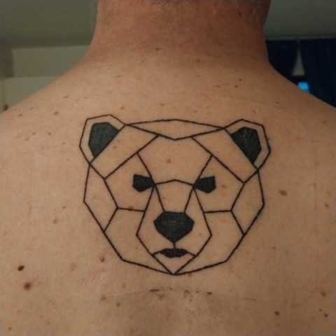 Bear